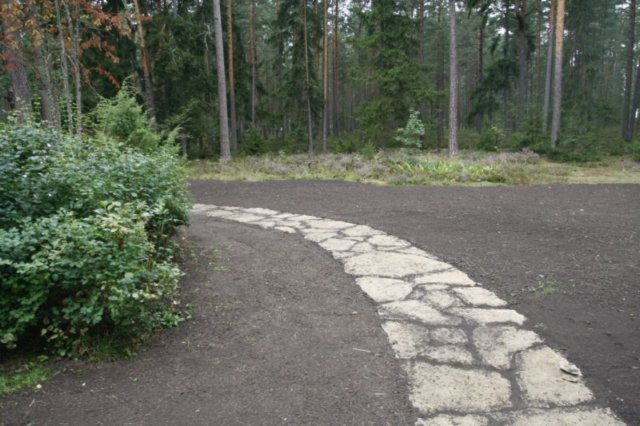 paekivitee2.jpg